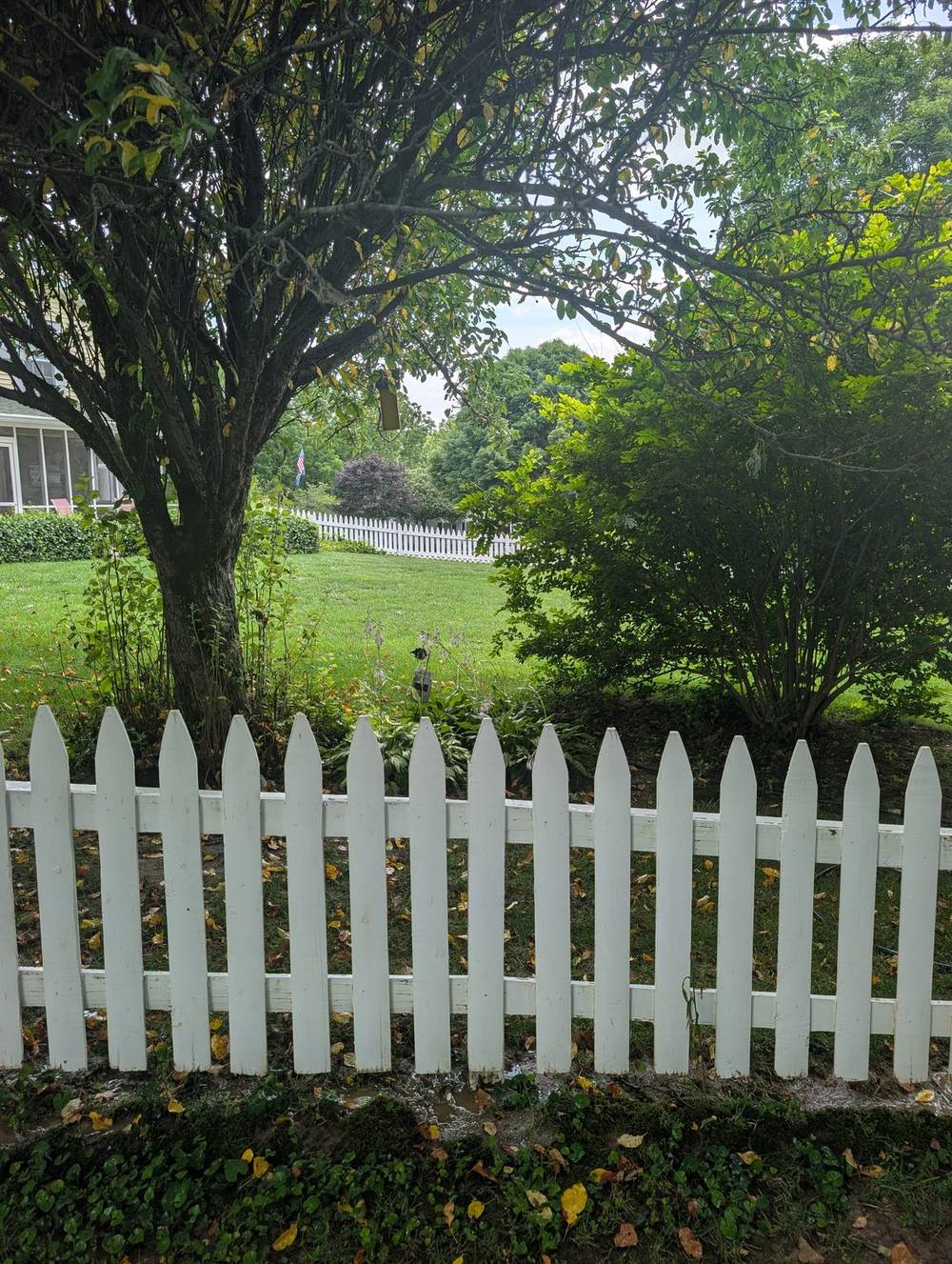 Fence line detail