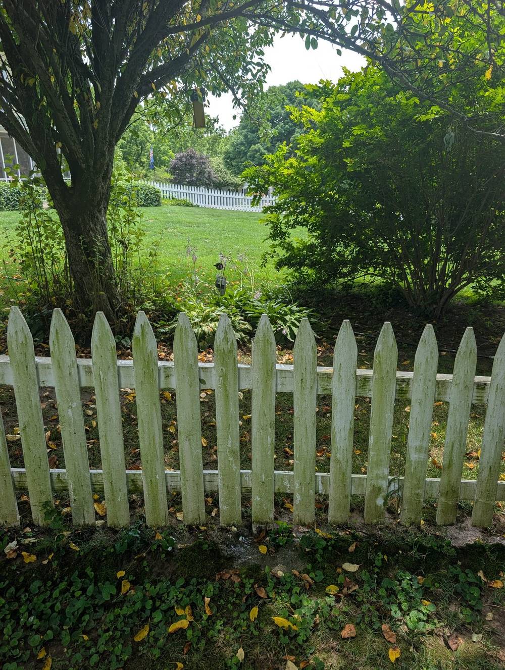 Picket fence, full run