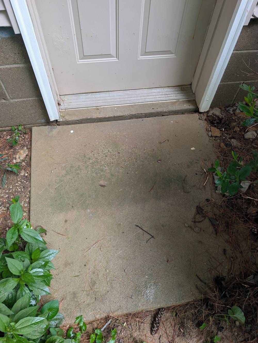 Full driveway pass