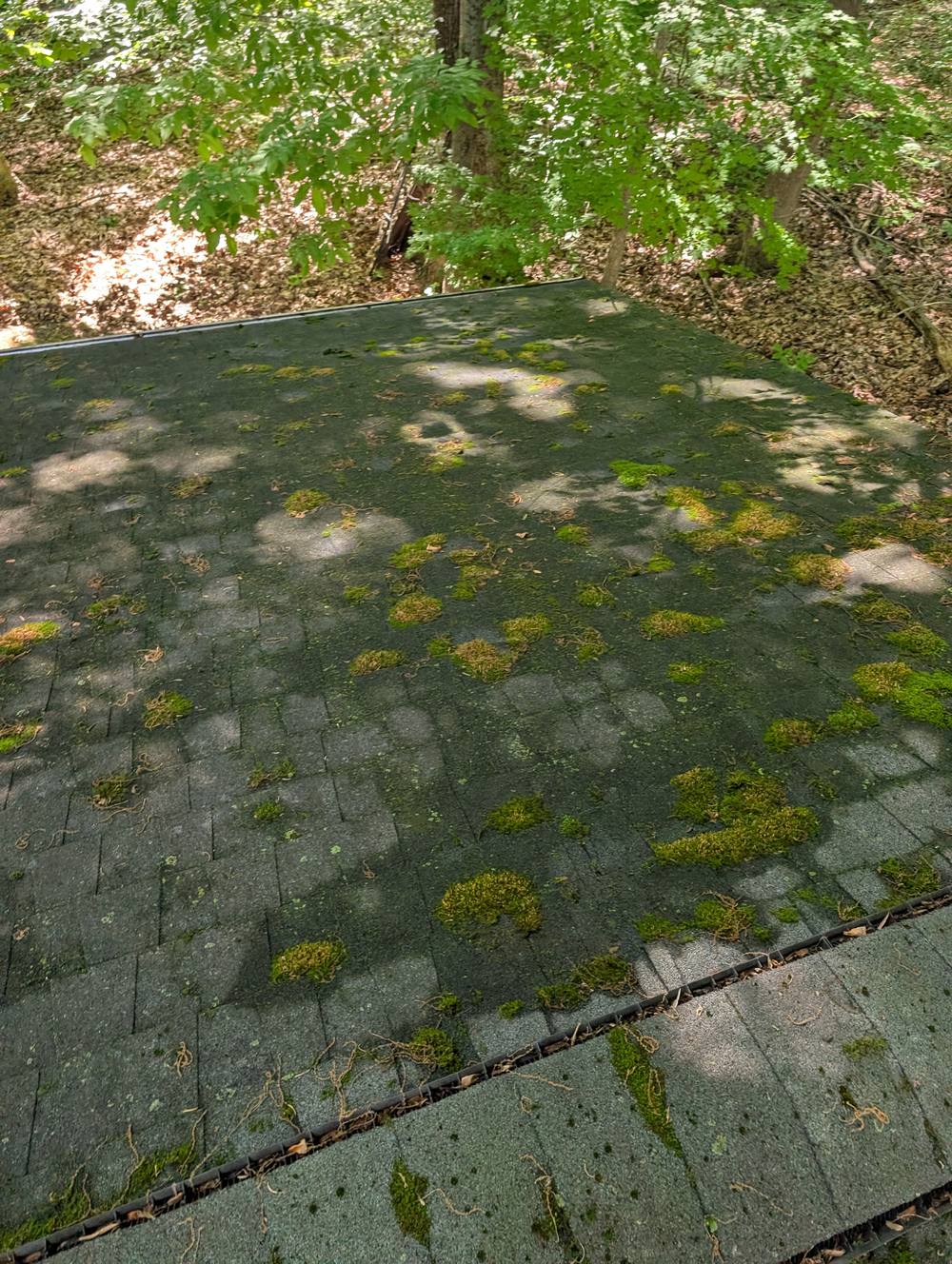 Roof cleaning soft wash