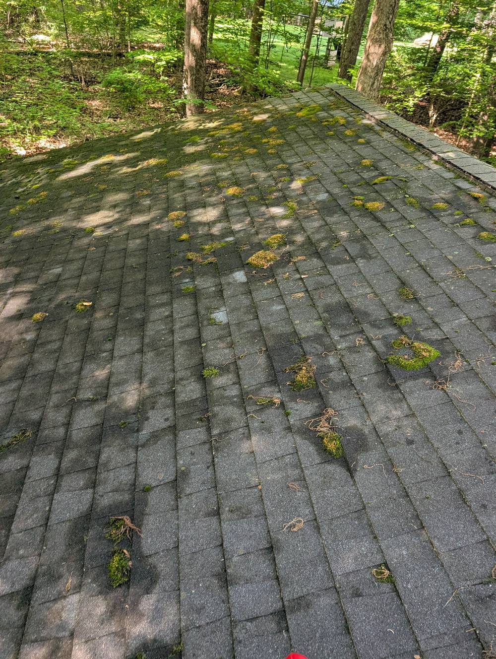 Roof cleaning